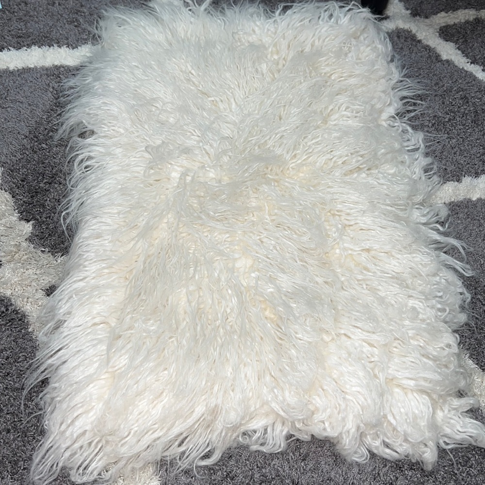 Pottery Barn Shaggy Pillow Case